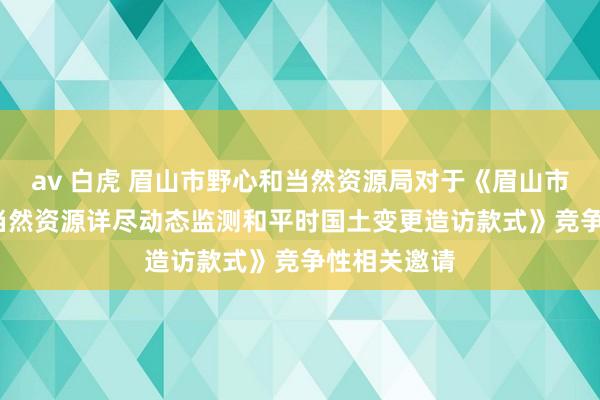 av 白虎 眉山市野心和当然资源局对于《眉山市2025年度当然资源详尽动态监测和平时国土变更造访款式》竞争性相关邀请