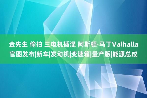 金先生 偷拍 三电机插混 阿斯顿·马丁Valhalla官图发布|新车|发动机|变速箱|量产版|能源总成