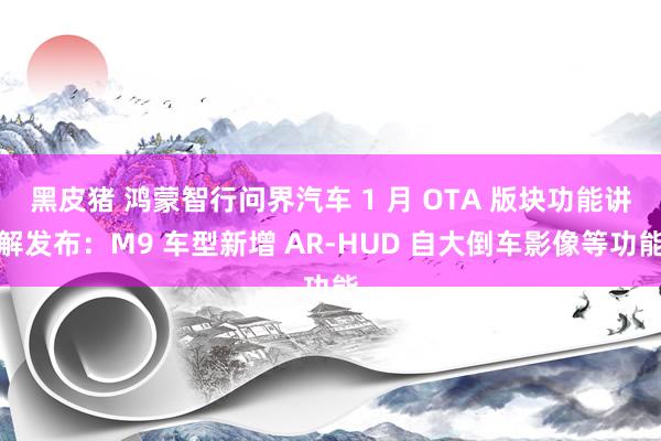 黑皮猪 鸿蒙智行问界汽车 1 月 OTA 版块功能讲解发布：M9 车型新增 AR-HUD 自大倒车影像等功能