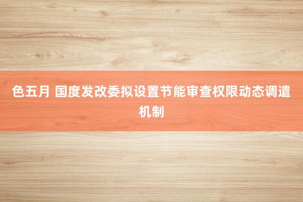 色五月 国度发改委拟设置节能审查权限动态调遣机制