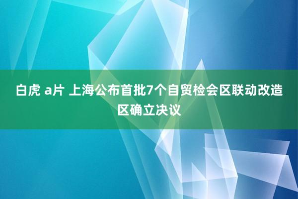 白虎 a片 上海公布首批7个自贸检会区联动改造区确立决议