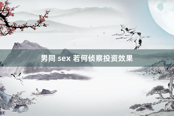 男同 sex 若何侦察投资效果