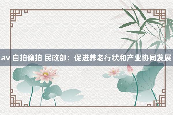 av 自拍偷拍 民政部：促进养老行状和产业协同发展