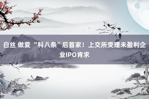 白丝 做爱 “科八条”后首家！上交所受理未盈利企业IPO肯求