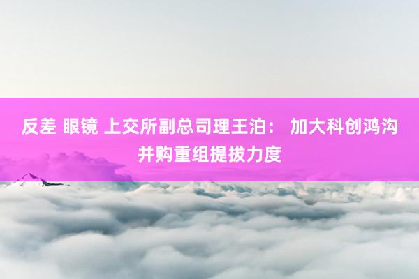 反差 眼镜 上交所副总司理王泊： 加大科创鸿沟并购重组提拔力度