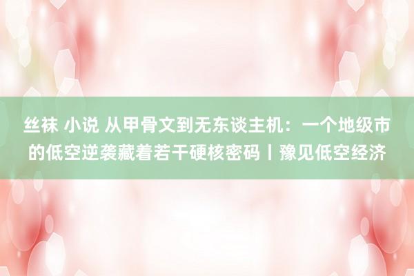 丝袜 小说 从甲骨文到无东谈主机：一个地级市的低空逆袭藏着若干硬核密码丨豫见低空经济